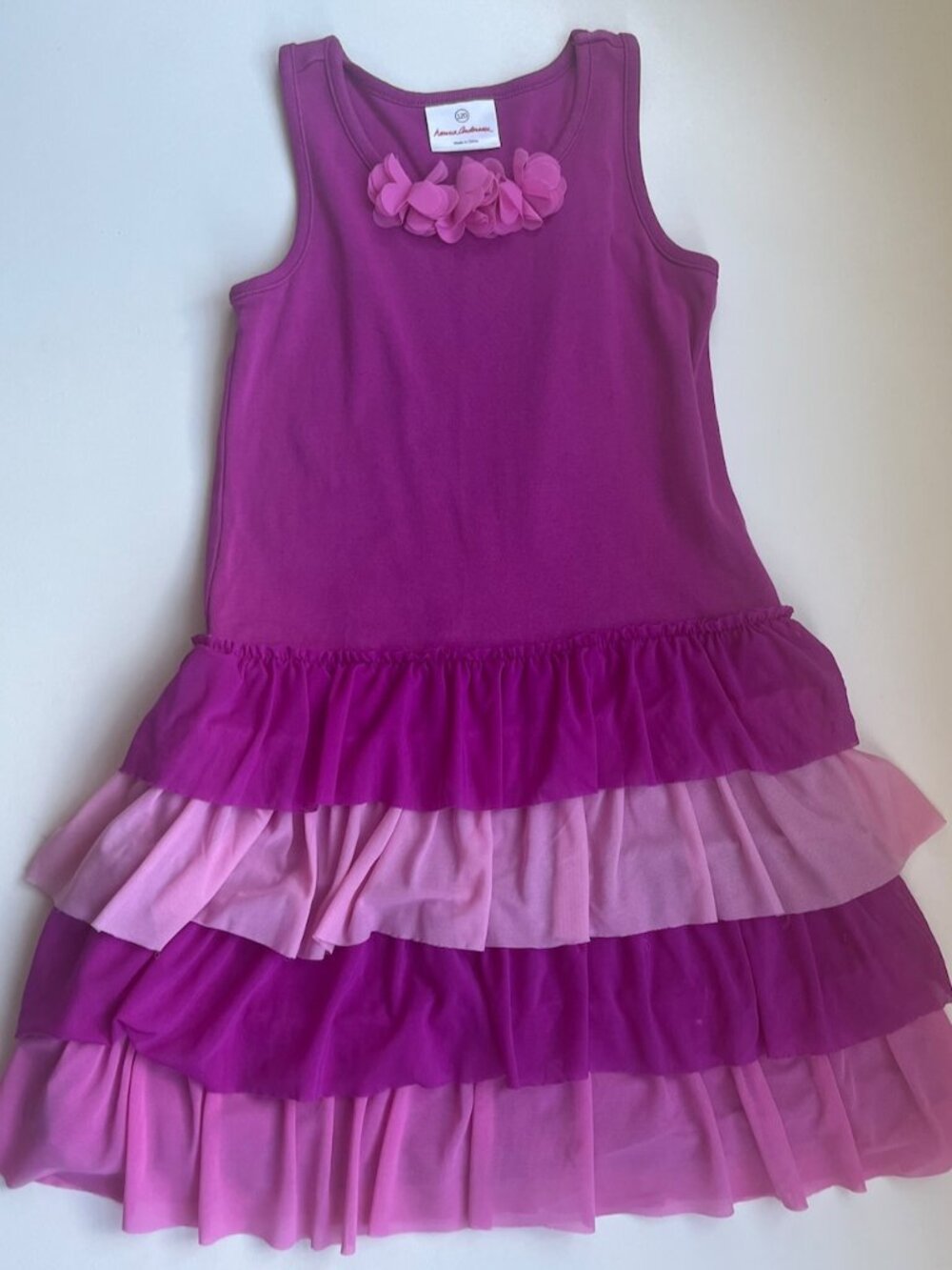Hanna Andersson Tulle Ruffle Dress (Sz 120)